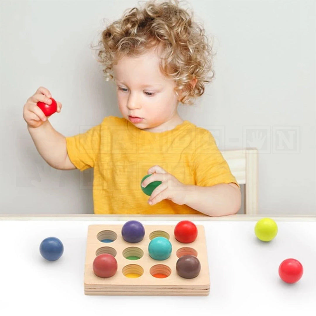 ColorPlate™ Wooden Color Sorting Set!-Sensory Toys-Hands-On Toys