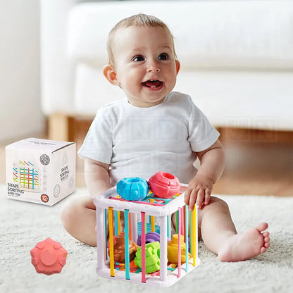 Shapy™ Shape Blocks  Sensory Toys.