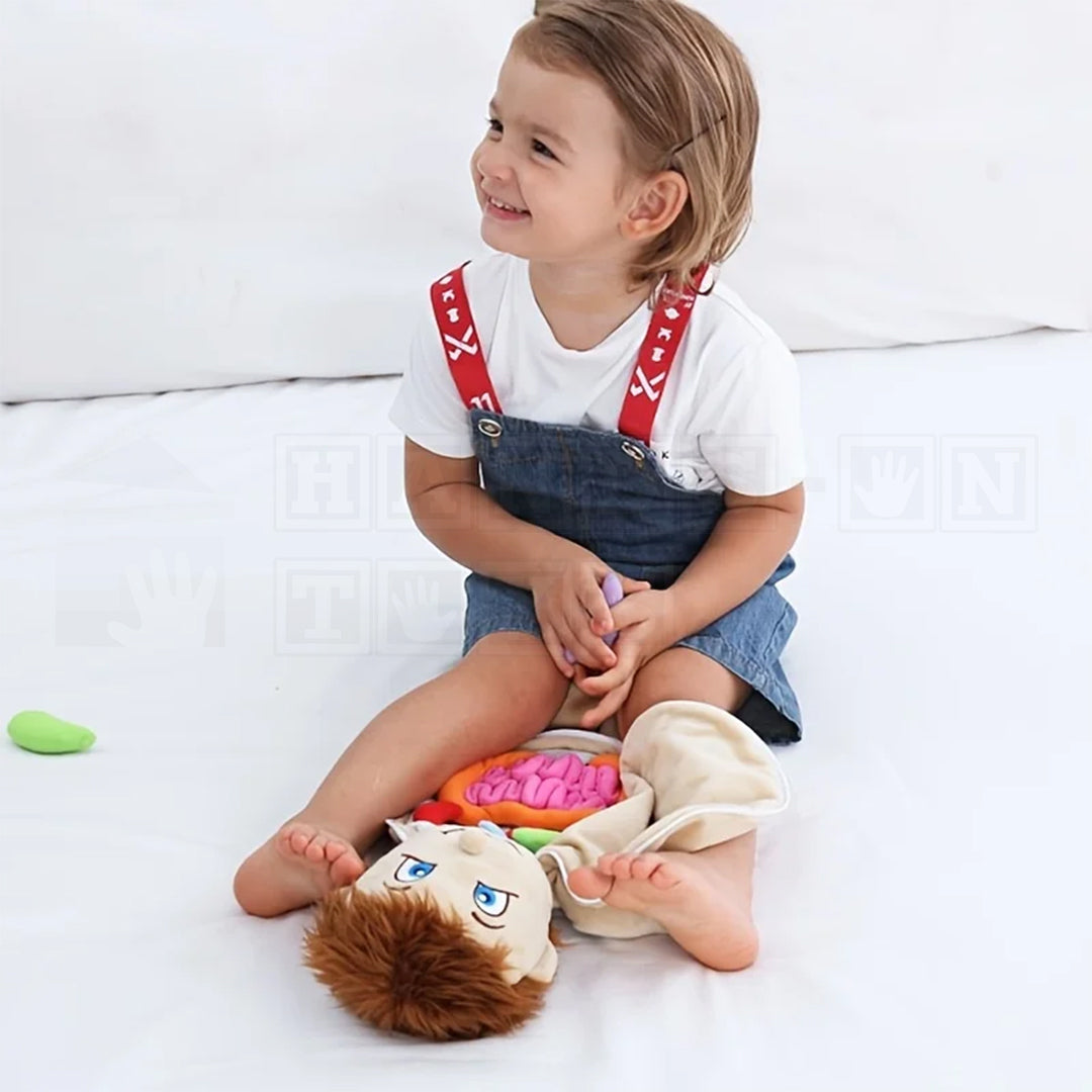 BodilyBuddy™ Anatomy Learning Doll  Cultural and Science Toys.