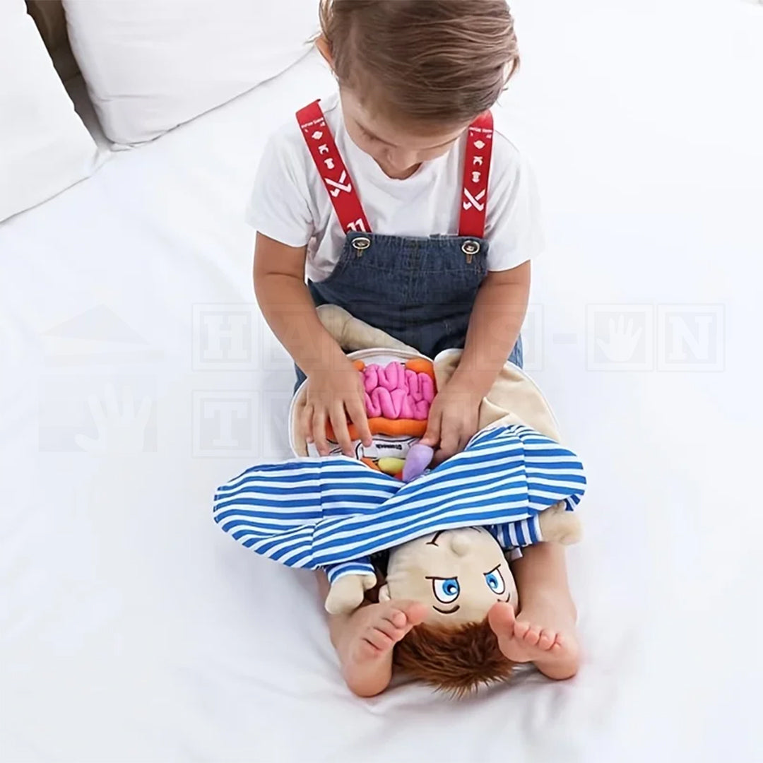 BodilyBuddy™ Anatomy Learning Doll  Cultural and Science Toys.