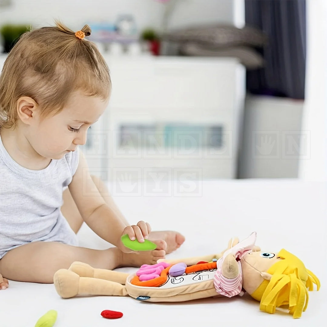BodilyBuddy™ Anatomy Learning Doll-Cultural and Science Toys-Hands-On Toys