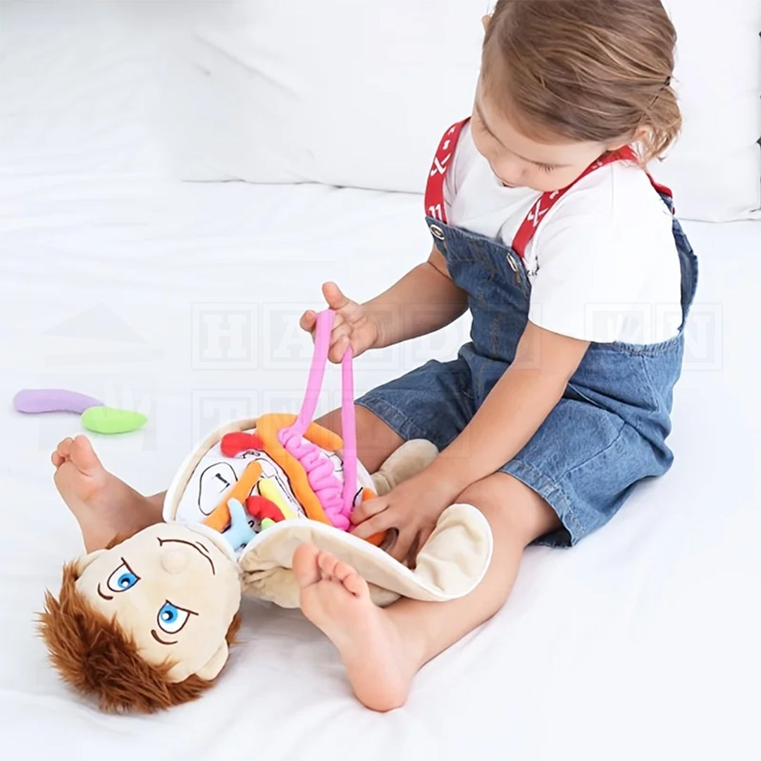 BodilyBuddy™ Anatomy Learning Doll  Cultural and Science Toys.