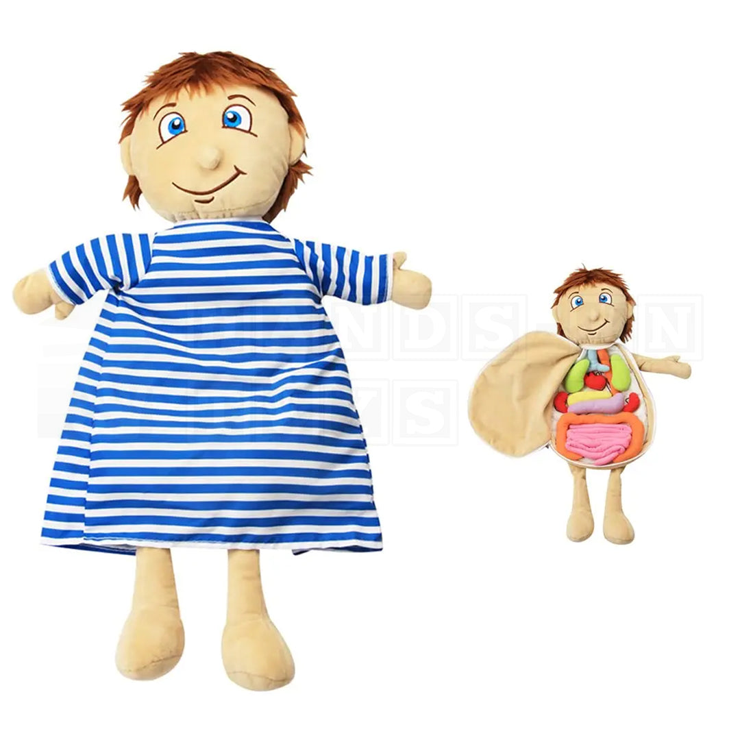 BodilyBuddy™ Anatomy Learning Doll-Cultural and Science Toys-Hands-On Toys