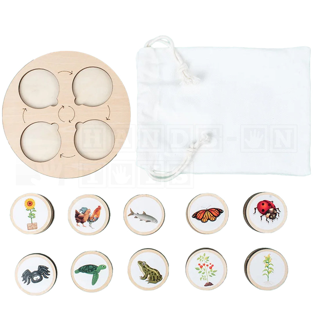 LifeLoop™ Life Cycle Learning Game-Hands-On Toys