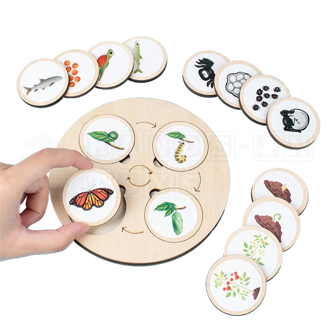 LifeLoop™ Life Cycle Learning Game-Hands-On Toys