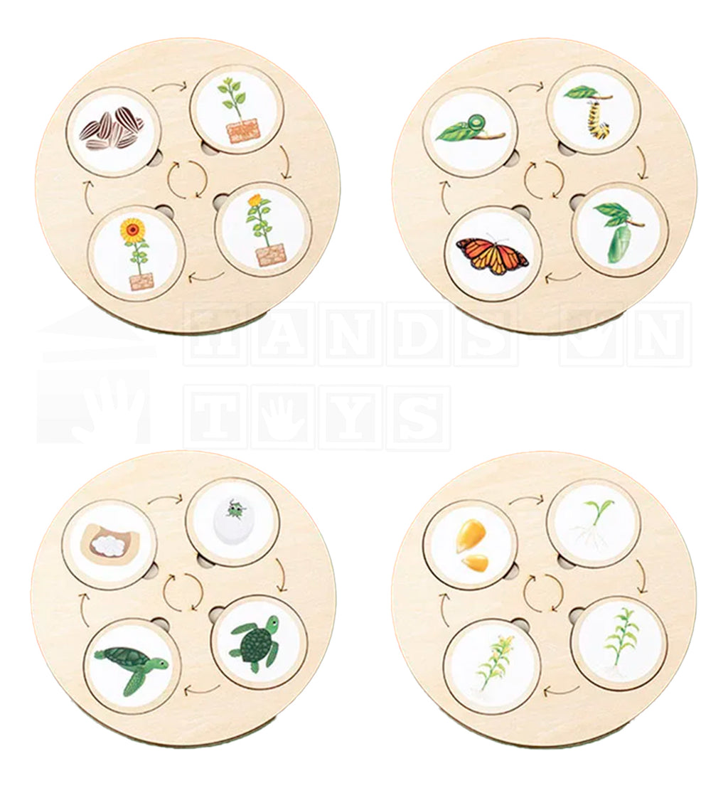 LifeLoop™ Life Cycle Learning Game-Hands-On Toys
