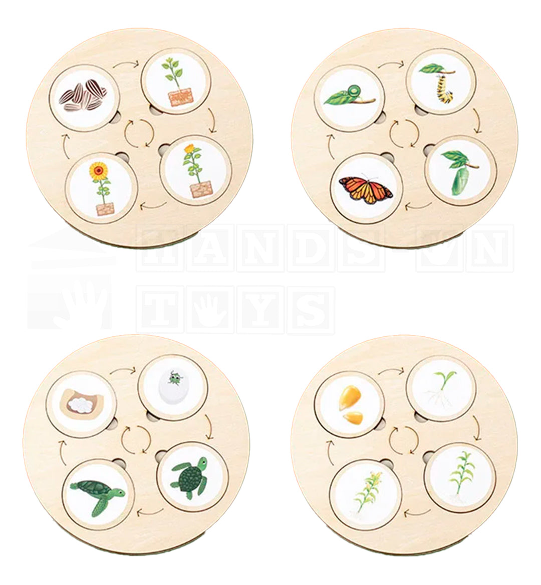 LifeLoop™ Life Cycle Learning Game-Hands-On Toys