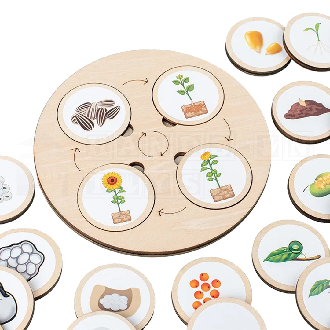 LifeLoop™ Life Cycle Learning Game-Hands-On Toys