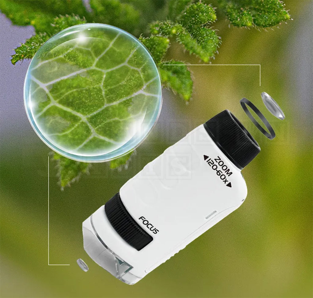 Pocket Microscope-Cultural and Science Toys-Hands-On Toys