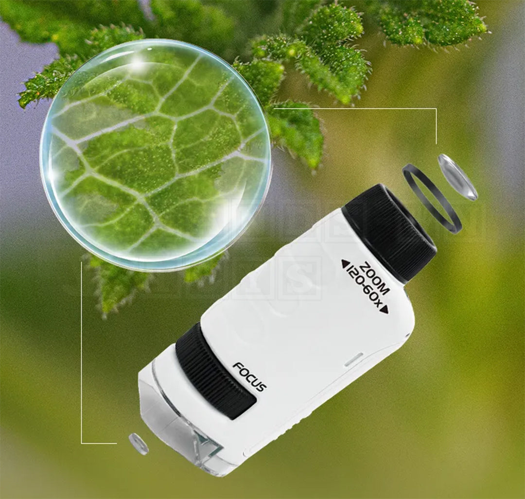 Pocket Microscope-Cultural and Science Toys-Hands-On Toys
