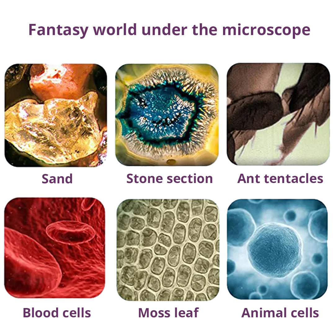 Pocket Microscope-Cultural and Science Toys-Hands-On Toys