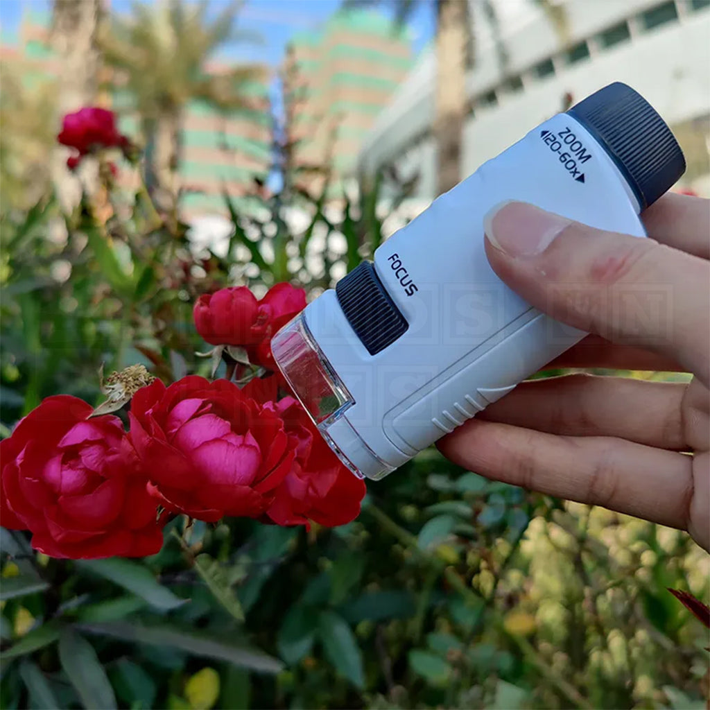 Pocket Microscope-Cultural and Science Toys-Hands-On Toys