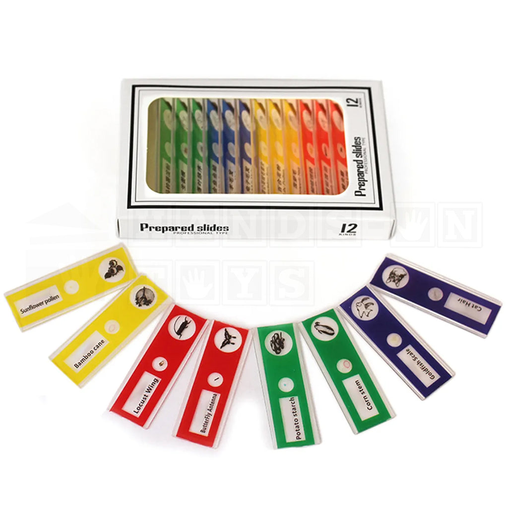 Pocket Microscope-Cultural and Science Toys-Hands-On Toys